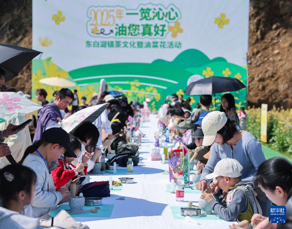 浙江诸暨：茶香花海助力春日乡村旅游经济
